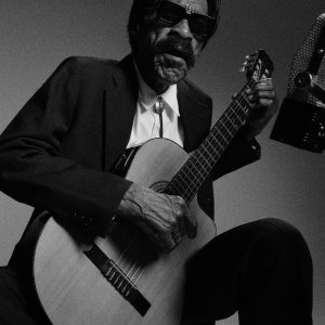 The Nighthawk Sunglasses